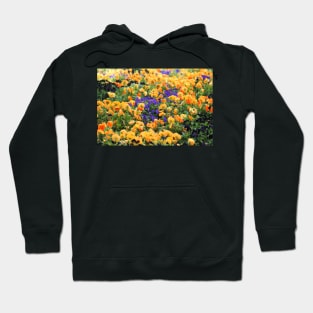 Fresh And Bright Hoodie